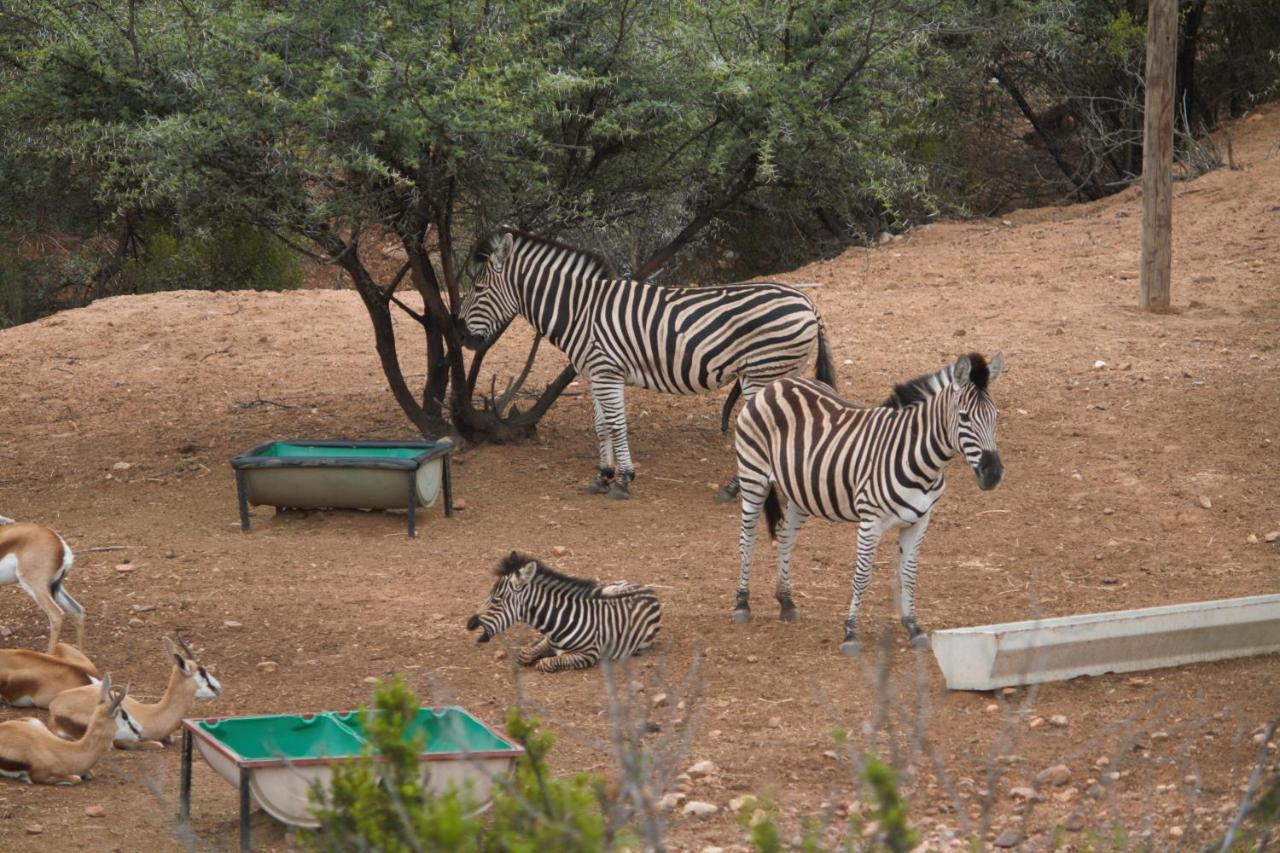 Zwartberg View Mountain Lodge Oudtshoorn Exterior foto