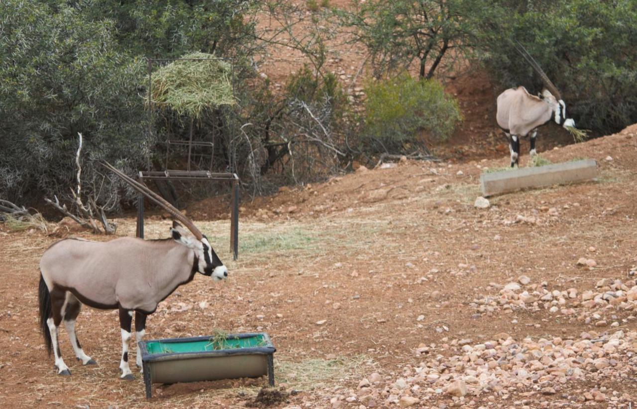 Zwartberg View Mountain Lodge Oudtshoorn Exterior foto